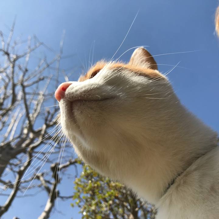 E123196a b20c 4b15 bbd9 ca8dd7a65337 1522904516220