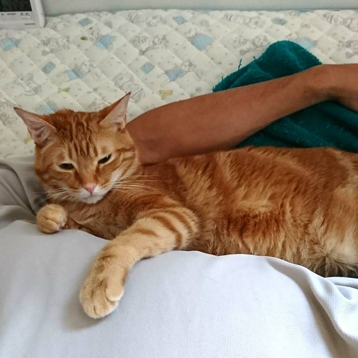 E1232639 e6f8 4f13 92c6 6470dd88e0c9 1536484624574