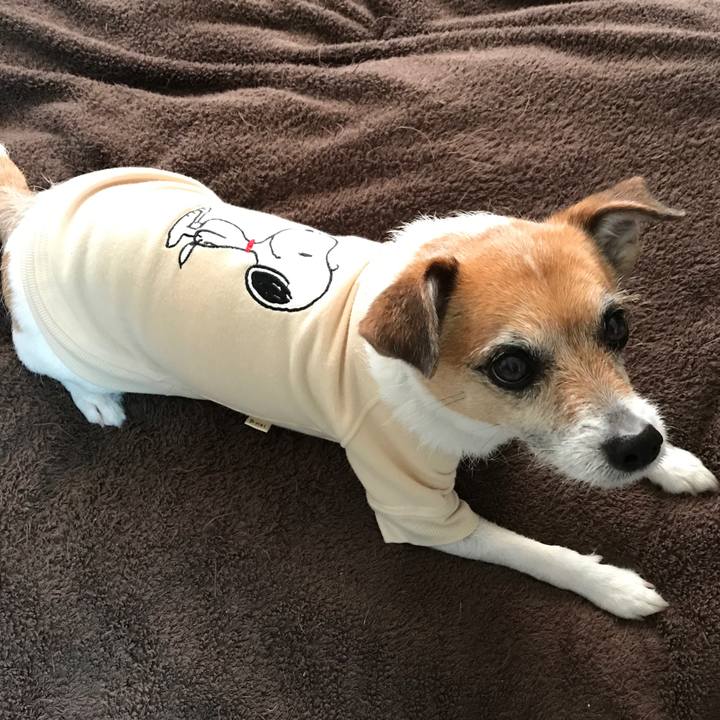 E1232991 9221 4ff0 8d76 12b66673cf2b 1582065006268