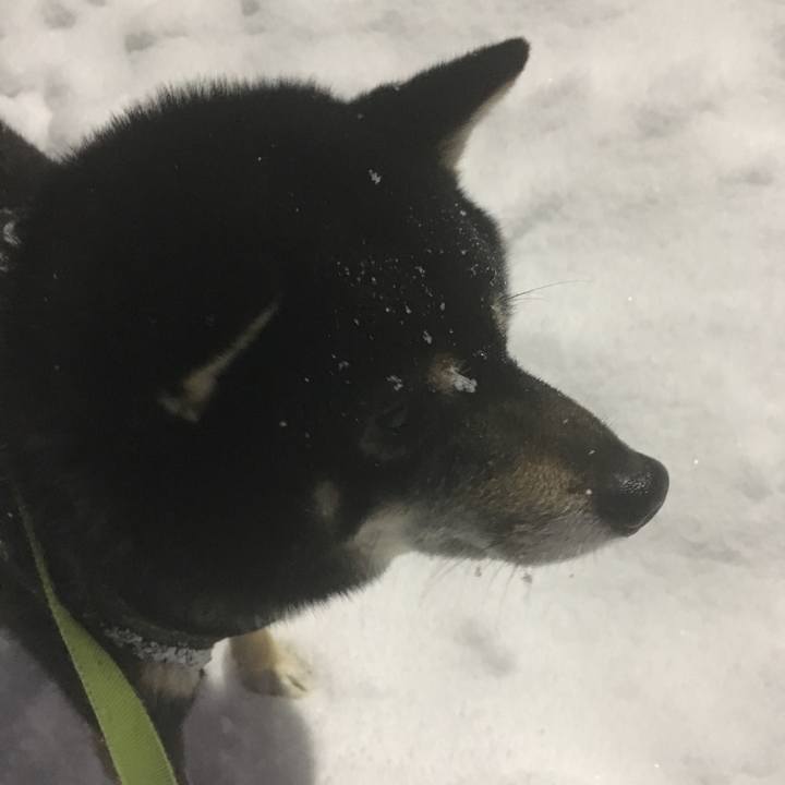 E1235c44 46b0 4674 97f9 43bbcfe72f4a 1517016774896