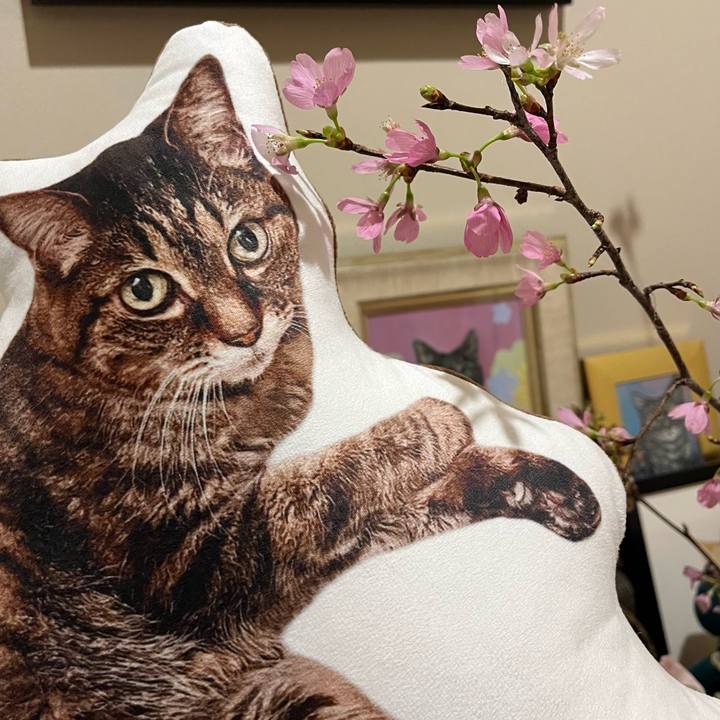 E1235eca 7ae6 4f25 9b42 87d84c30e18a 1775125588472