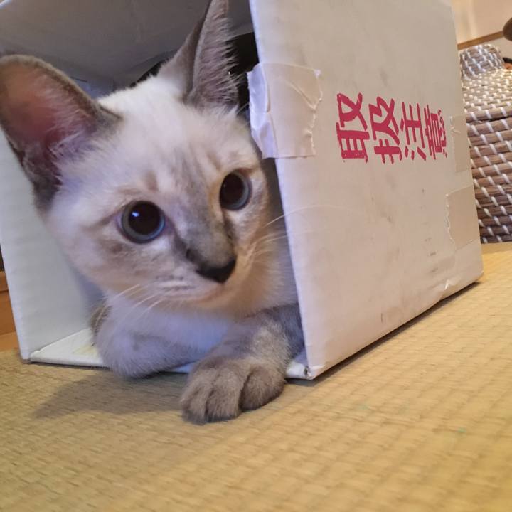 E1235f7d 4964 4eef 88d3 a1e1b5f9d050 1536364455410