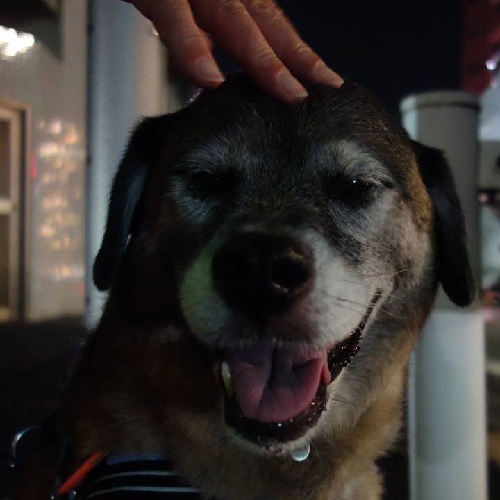 E123a037 eba0 4d29 a5ef b4fb3e96bb5c 1533389756955