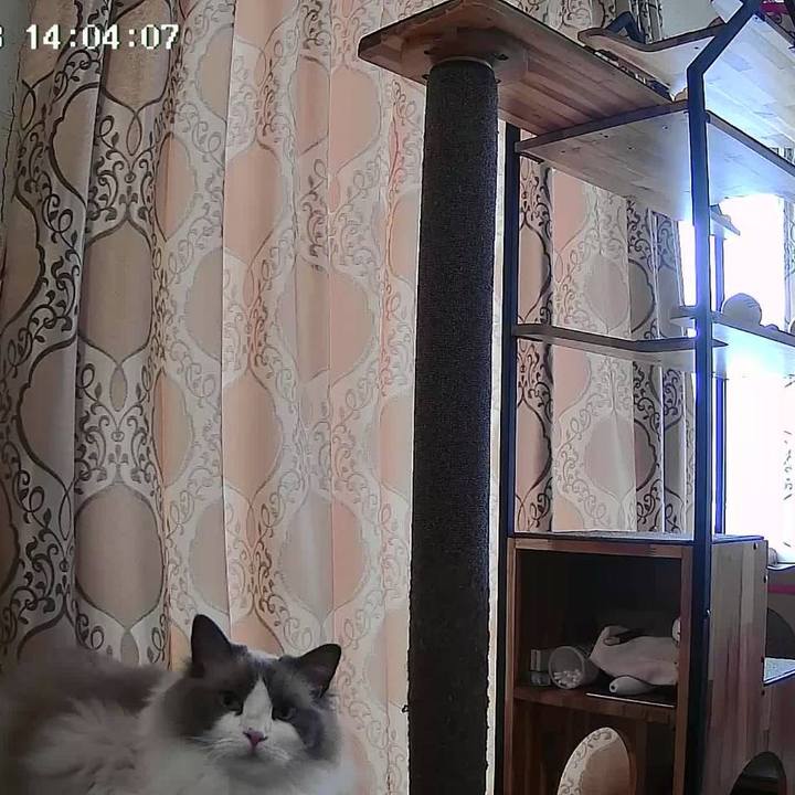 E123b958 4b8a 4973 9a7e 34f6d4b8f9ff 1751185741291