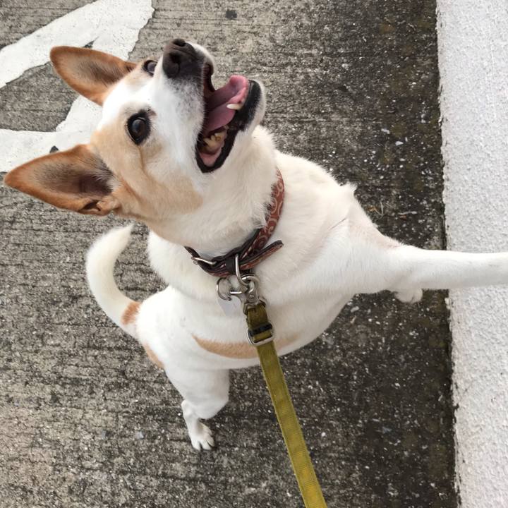 E123dc15 6839 4ebc a620 c5abb1fb9984 1689652199254