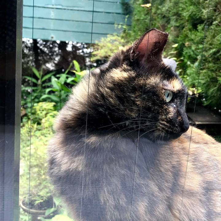 E123e019 1c62 4e25 a669 61a9bffbfa4a 1529634226285