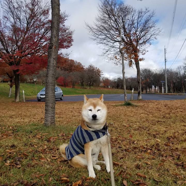 E123f0fe be69 4240 9f4a 000d6706fd5f 1701486288143