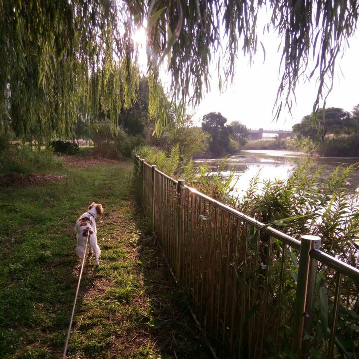 E1241b51 d3e2 4983 a55f 3b4939becd3e 1510489272825