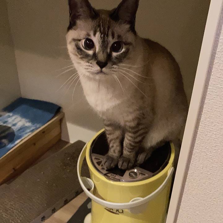 E124291b 7562 4252 a4f7 e5fcf4b7b627 1730276970884