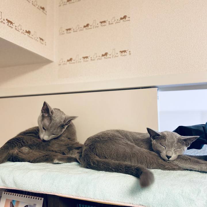 E12439f1 12de 4860 9034 70d7e94a3974 1636607268822