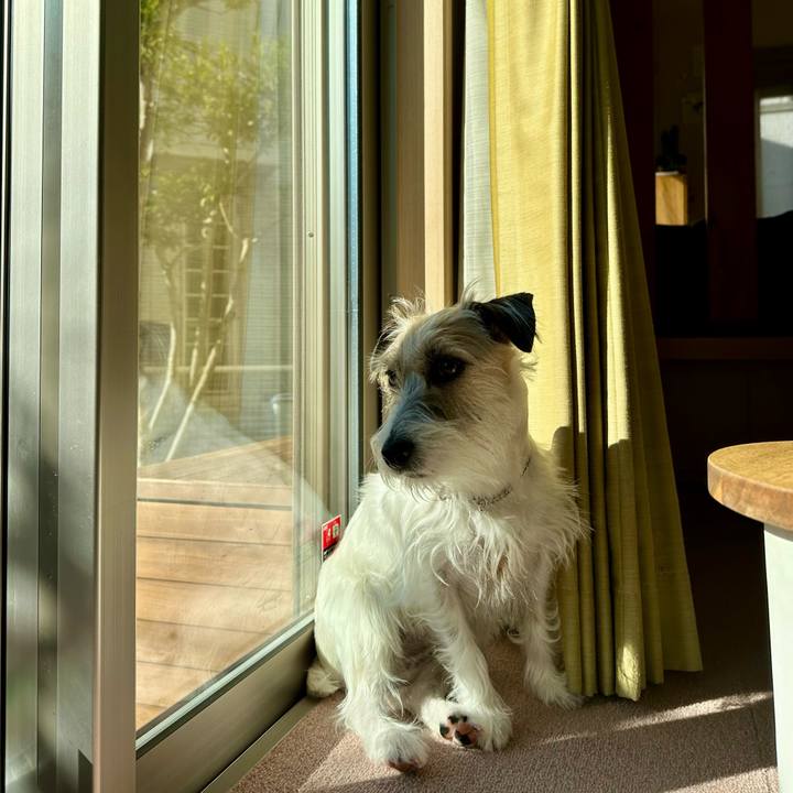 E1247c97 690c 4a8c b1c4 9d84a84f16d1 1706578959975