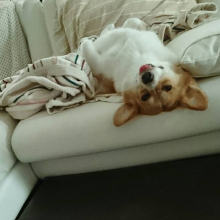 E124af44 75dd 4498 8a7e 154de673a000 1534288771379