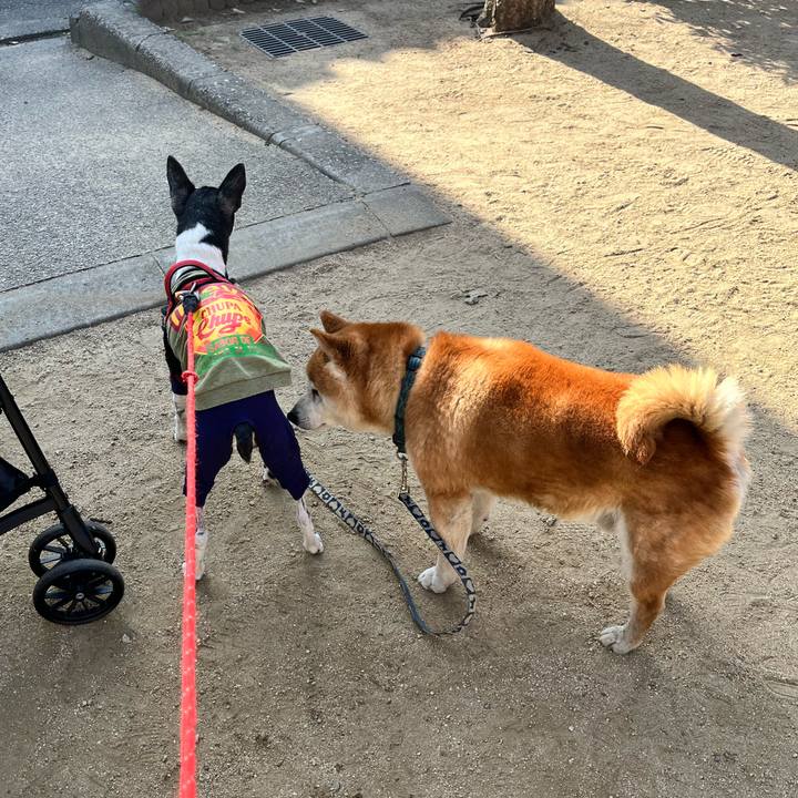 E124b266 1f8e 432f a096 7131d87163cc 1649466102172