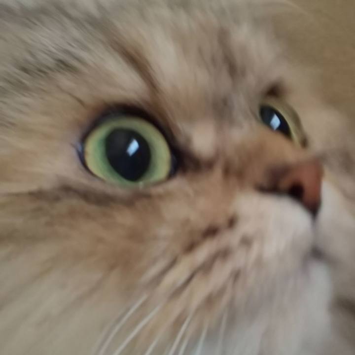 E124bb04 4078 4b6b ad63 565154e011fc 1610437137668