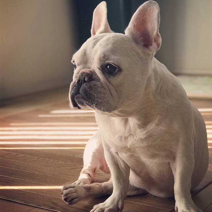 E124d218 44bf 4782 9558 37ac32e5d661 1520730411429