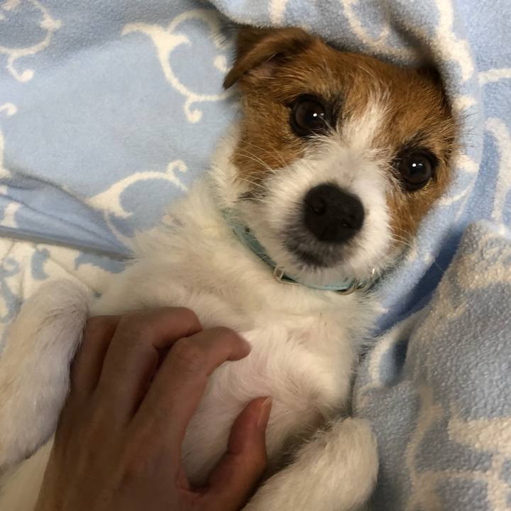 E124f357 6f43 486c ae7e 801b6f25aa44 1537658450657