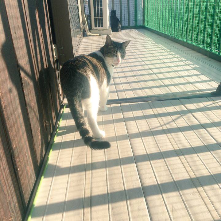 E1253d08 61d2 4109 a04b 7d51fccb578b 1512174554650