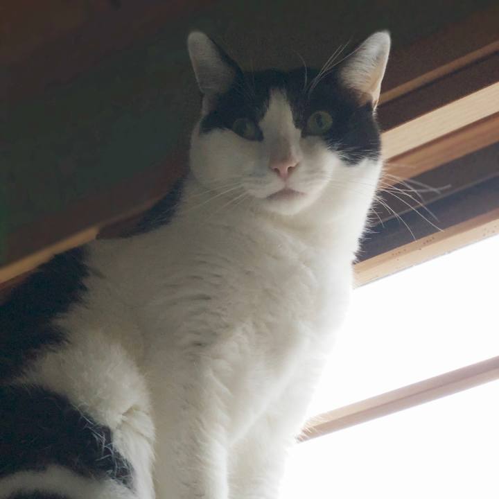 E1256a24 2b32 40dc afa0 4e47202f7f09 1550626707753