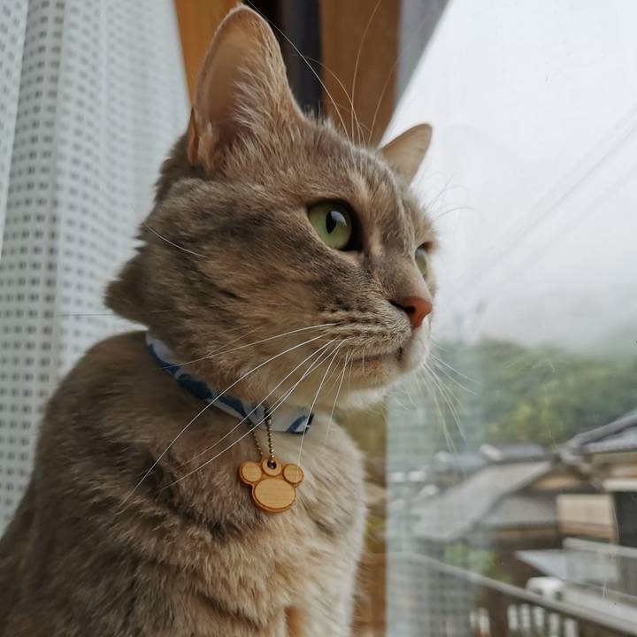 E1257511 b779 4294 92a8 d3ec99a64561 1623988718714