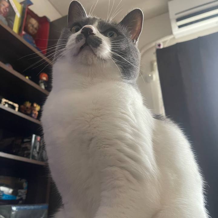 E125eb78 5c27 45ff 9995 2ebb55eed9c4 1688875063782