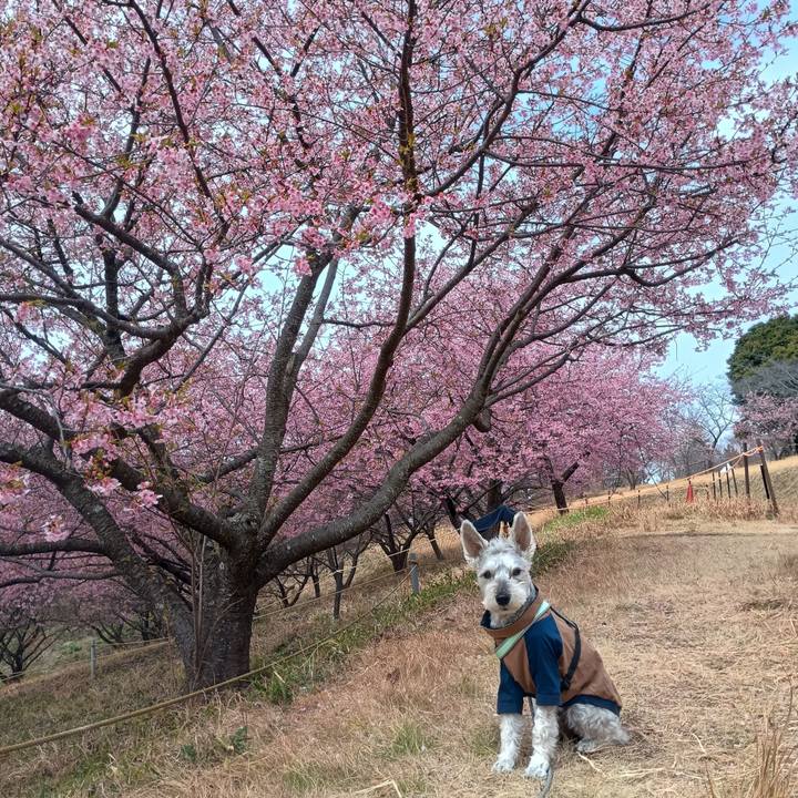 E125f265 e410 4e11 bf40 1b0c9617d48a 1772198906663