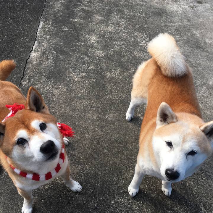 E1260fe4 c82c 4e56 9ce3 e61034b120bc 1514095393660