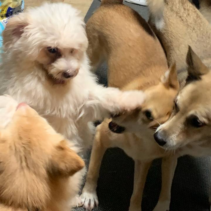 E12615e6 0a80 4fce 8e40 b3aff3c37418 1667009186800