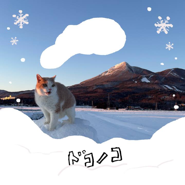 E12619c8 3584 46d8 b9e7 3e59a0d287ad 1772278900459