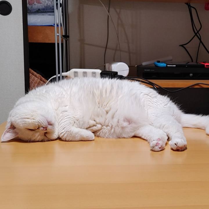 E1265483 0622 4f7d b758 4cbd0a54bfd1 1755683106005