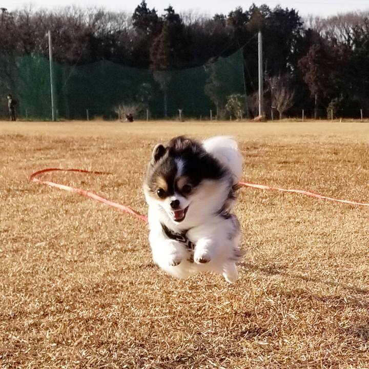 E1268aed 9236 48f9 a1fa f84fc14d7916 1549187253266