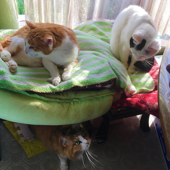 E1269758 009e 47b5 a949 b4d305233f01 1619157638344