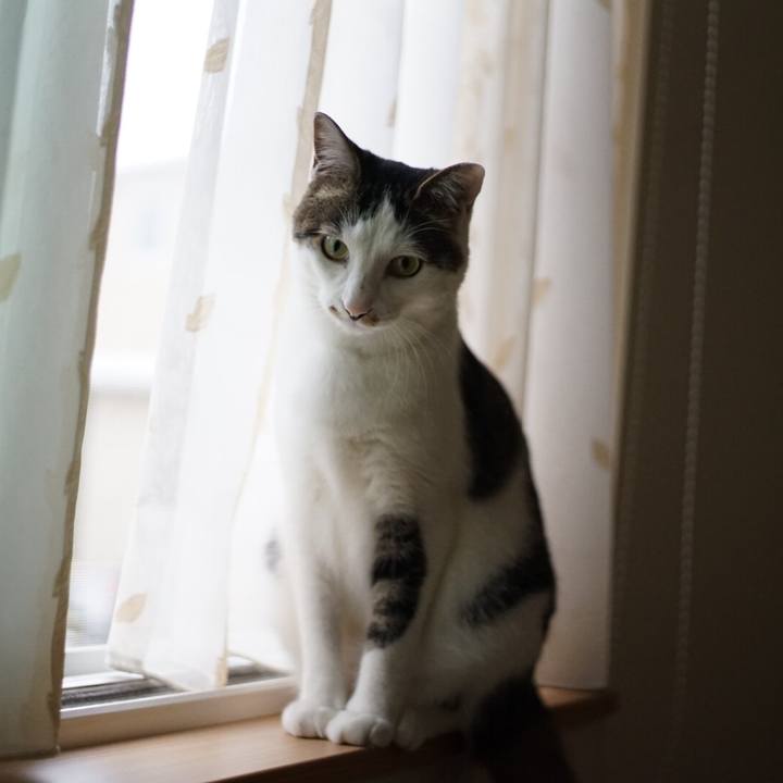 E126b8ae 95ca 4053 b6e3 90742b6b73b9 1527551599183