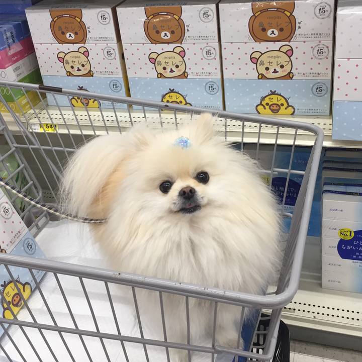 E126bf55 2872 45ea 8b25 89b4d42c059a 1550472975339