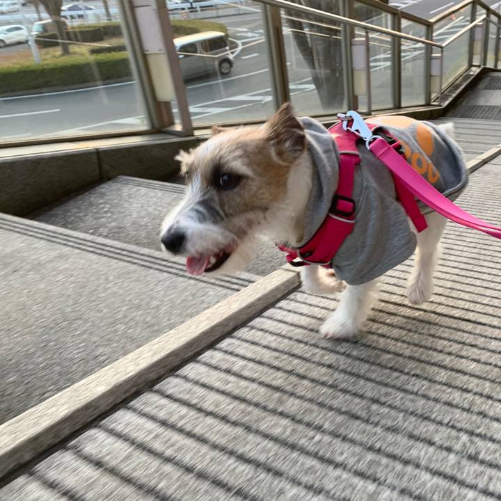 E126e111 8e9c 4041 969f 109e5a030af3 1578912365213