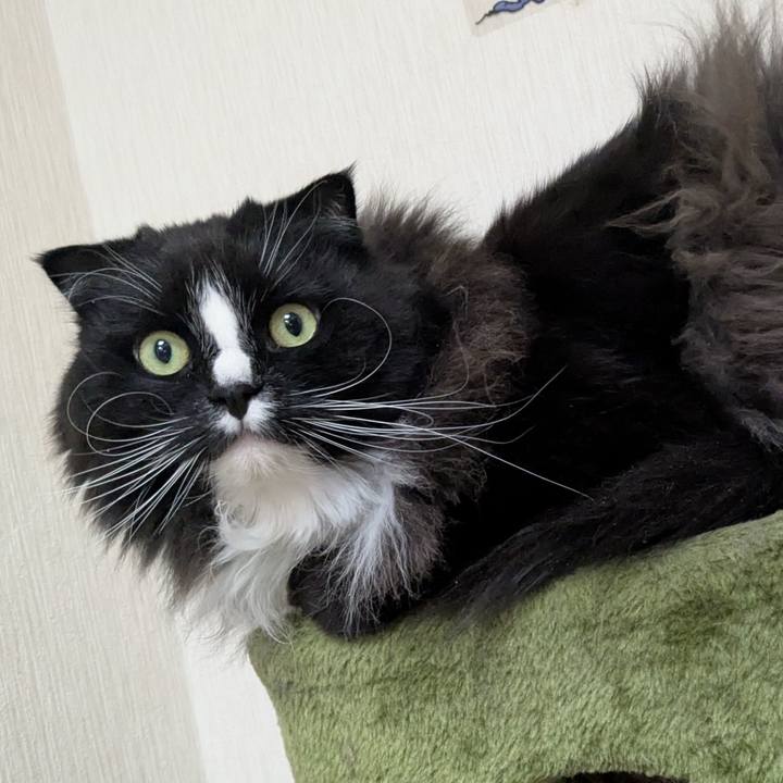 E126f5ca 0e85 4c8c b511 095667795896 1739877917324