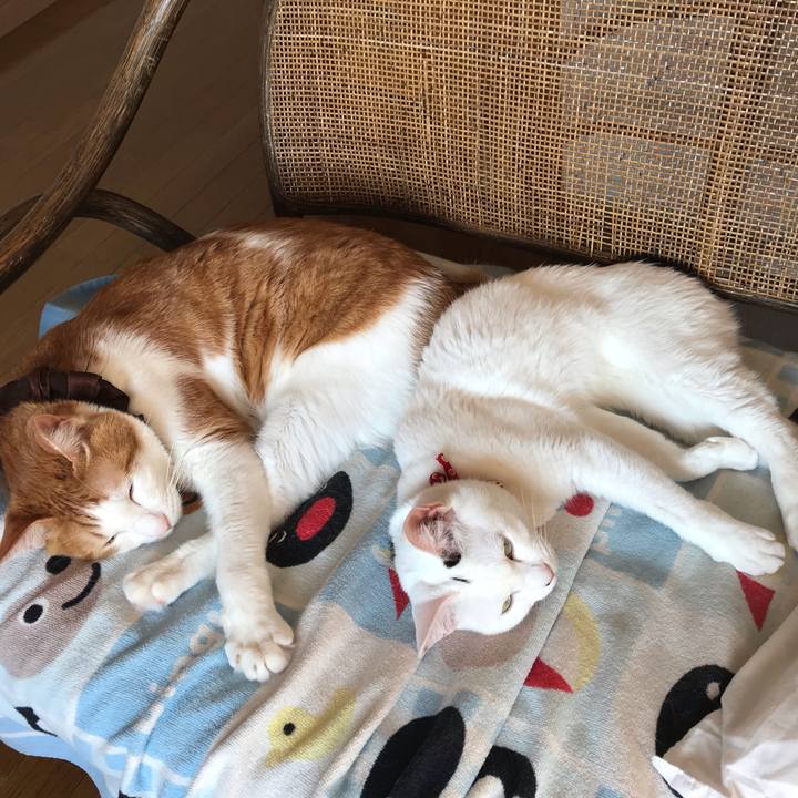 E126f5e5 2f57 496d b4bf 47e13158343d 1552198014507