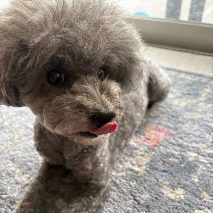 E1270061 03f0 4f32 90de 2a06772d250e 1763036751327