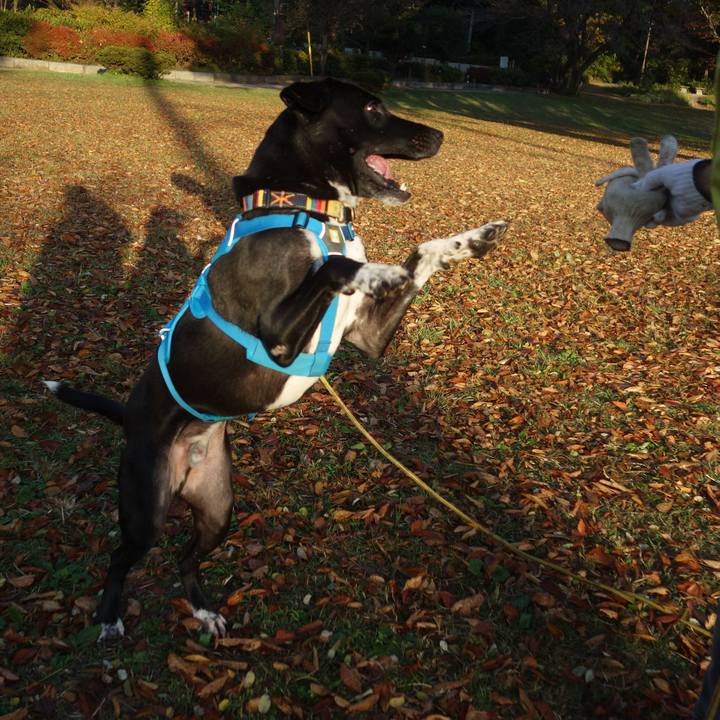 E12717a6 afd3 482b bfd0 48d7409643fa 1605485926189