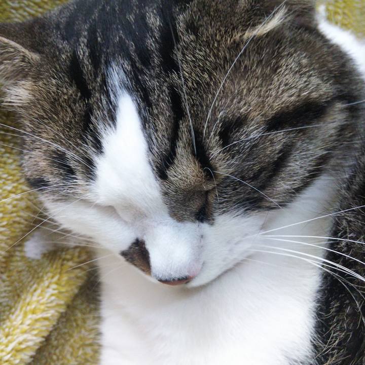 E12732b6 4fc7 42be b673 bec2c6e392e3 1654735949432