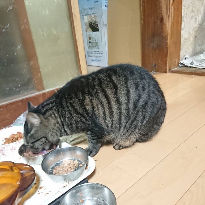 E12798a3 cec0 4fd1 92c1 32fbec21395c 1633694495732