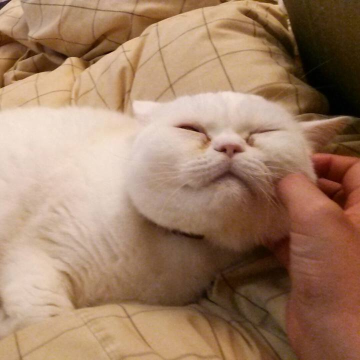 E127c3eb c21d 46c3 be2c ca9143d282f6 1516427746856