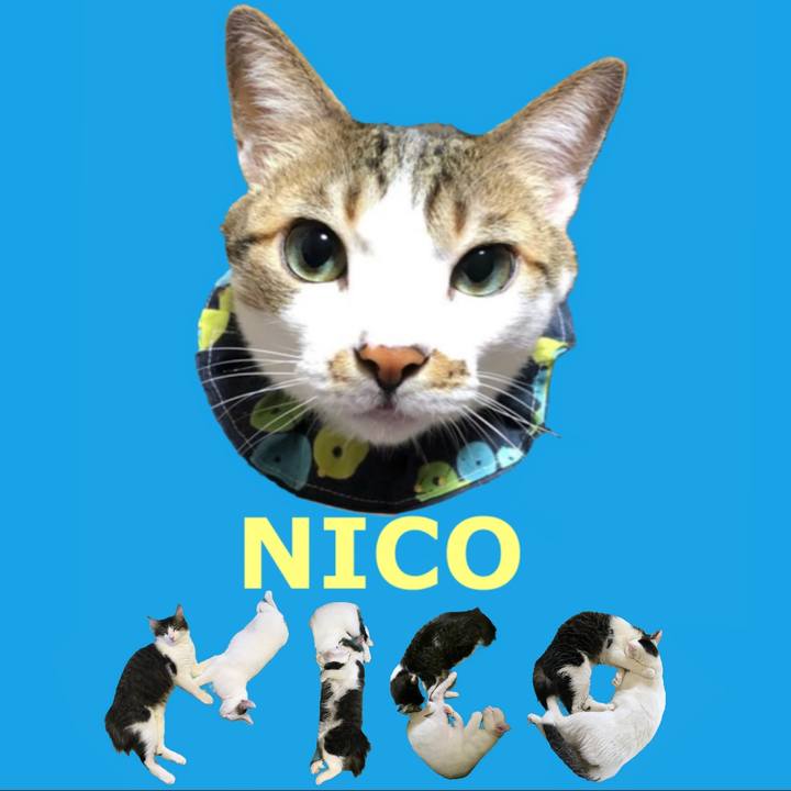 E127cd60 0416 43dd aeed 147dacc3044a 1667688782321