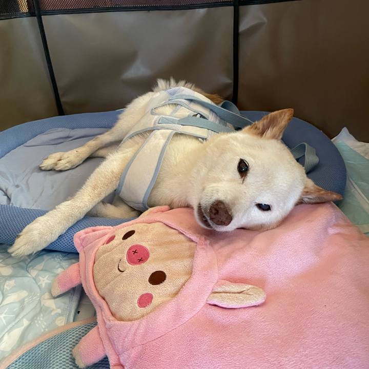 E127e2ee 0071 4d7c 85d8 32d06bbeff86 1660657192829