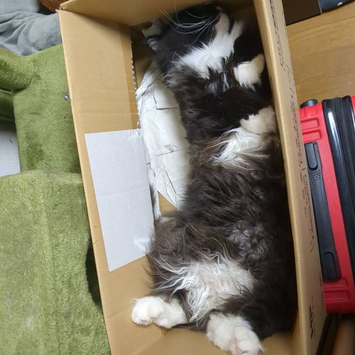 E12801c9 8386 459b b11a c0880df387e5 1747876062796