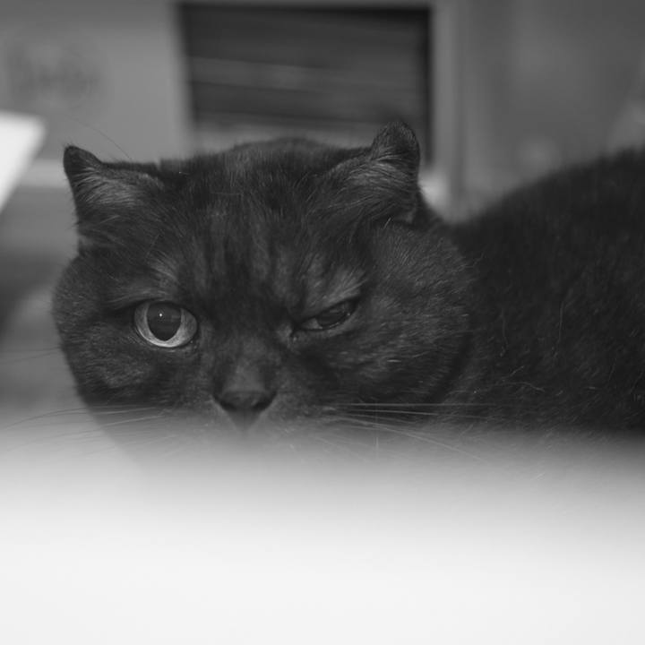 E1284465 5b25 42bf 9d4e 238a388840ab 1619715278804