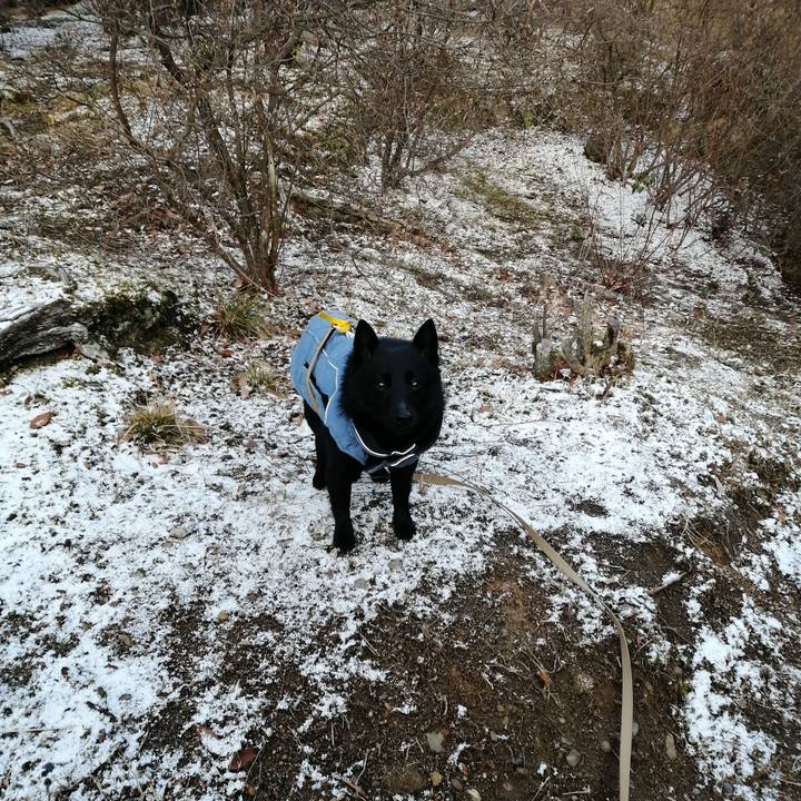 E1285403 0e94 41ae 8610 9b6dc652b7d3 1676412531941