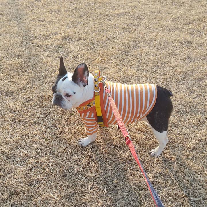 E1287117 2195 4ec5 9b52 2d1d350b54c6 1604311612944