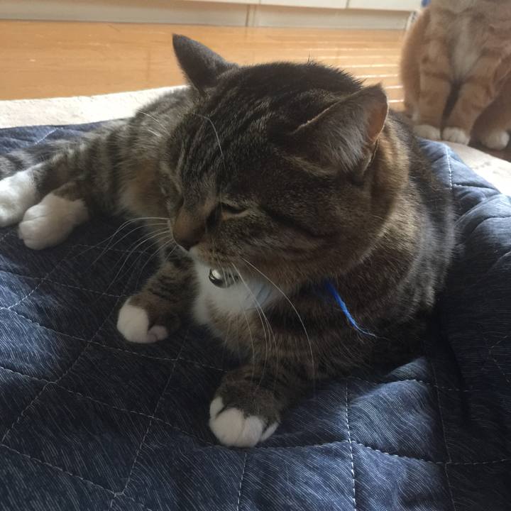 E128a2ff 3ac7 49d6 a891 c2d3dddf859b 1556584349138