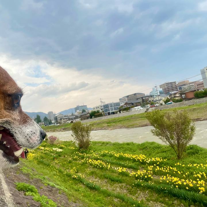 E128c252 93f3 4e84 8d4c 122e473a0d80 1745273311815