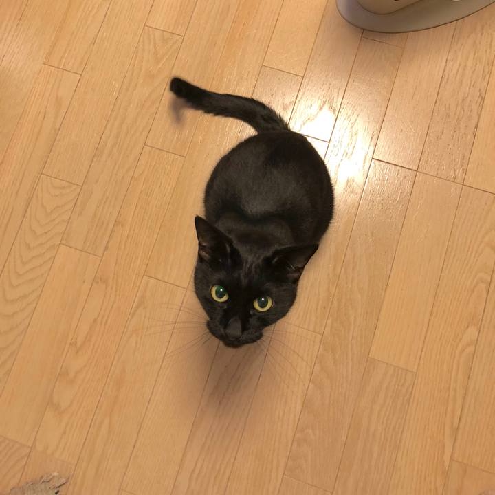 E128dd43 7b78 40f9 a841 a6038f4713dc 1519822231142